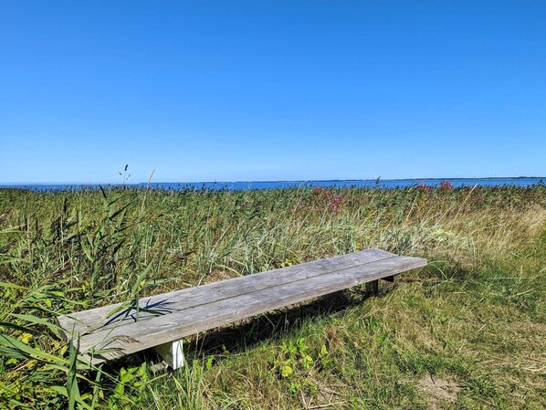 House | Property grounds - 10 Person Holiday Home in Ulfborg (Ulfborg)