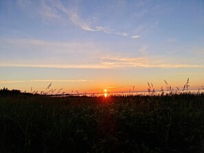 House | Miscellaneous