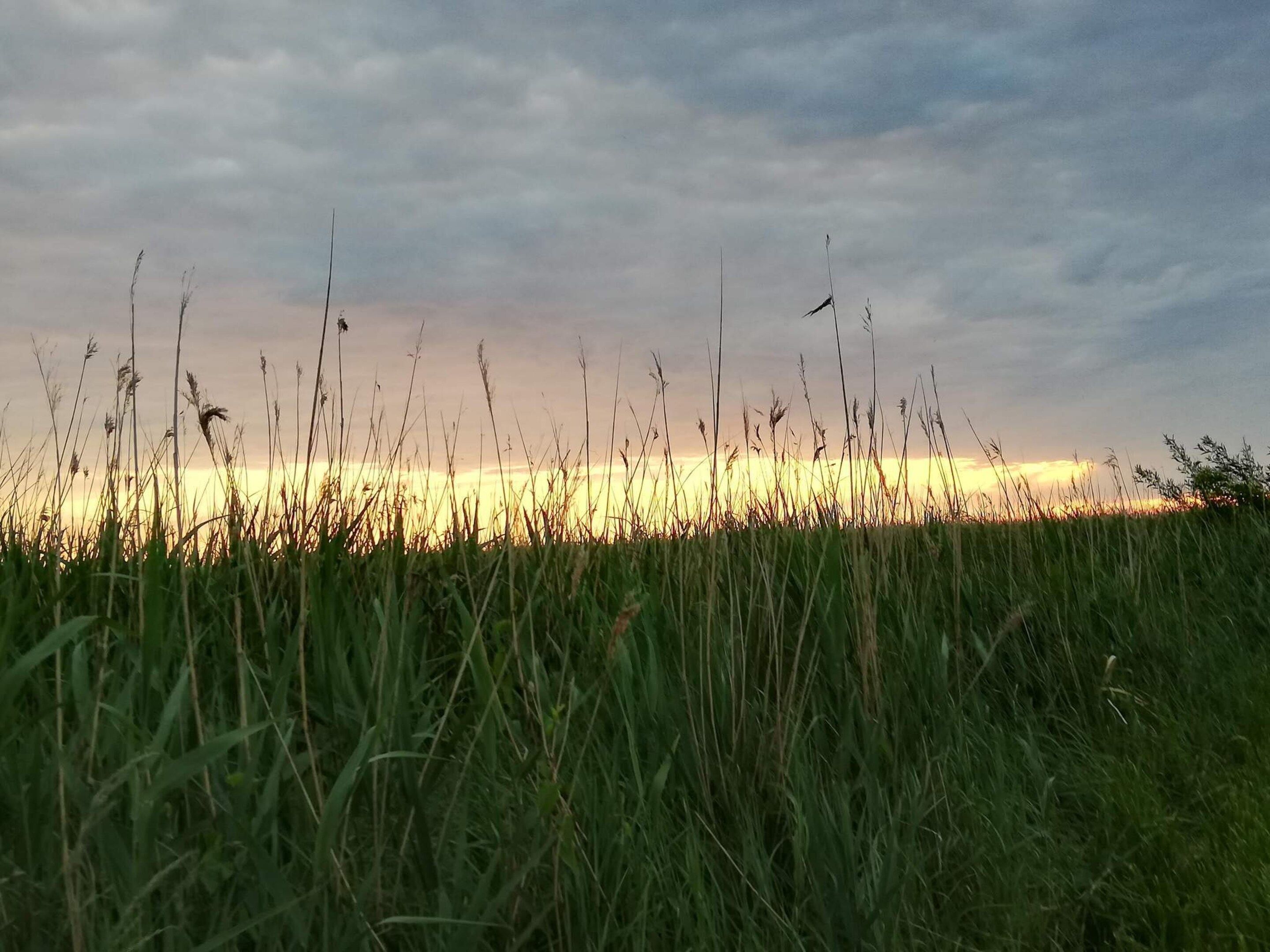 Khác
