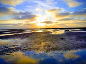 A coastal landscape with a sunset, a pier extending into the water, and a wetland area.