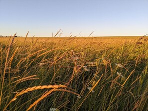 บ้านพัก | อื่นๆ