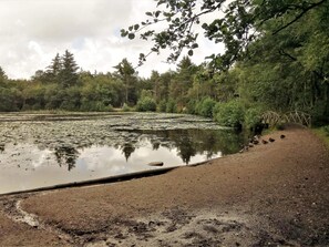 하우스 | 숙박 시설 구내