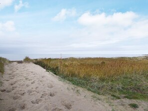 A sandy path leading to a beach with dunes and a clear sky.
