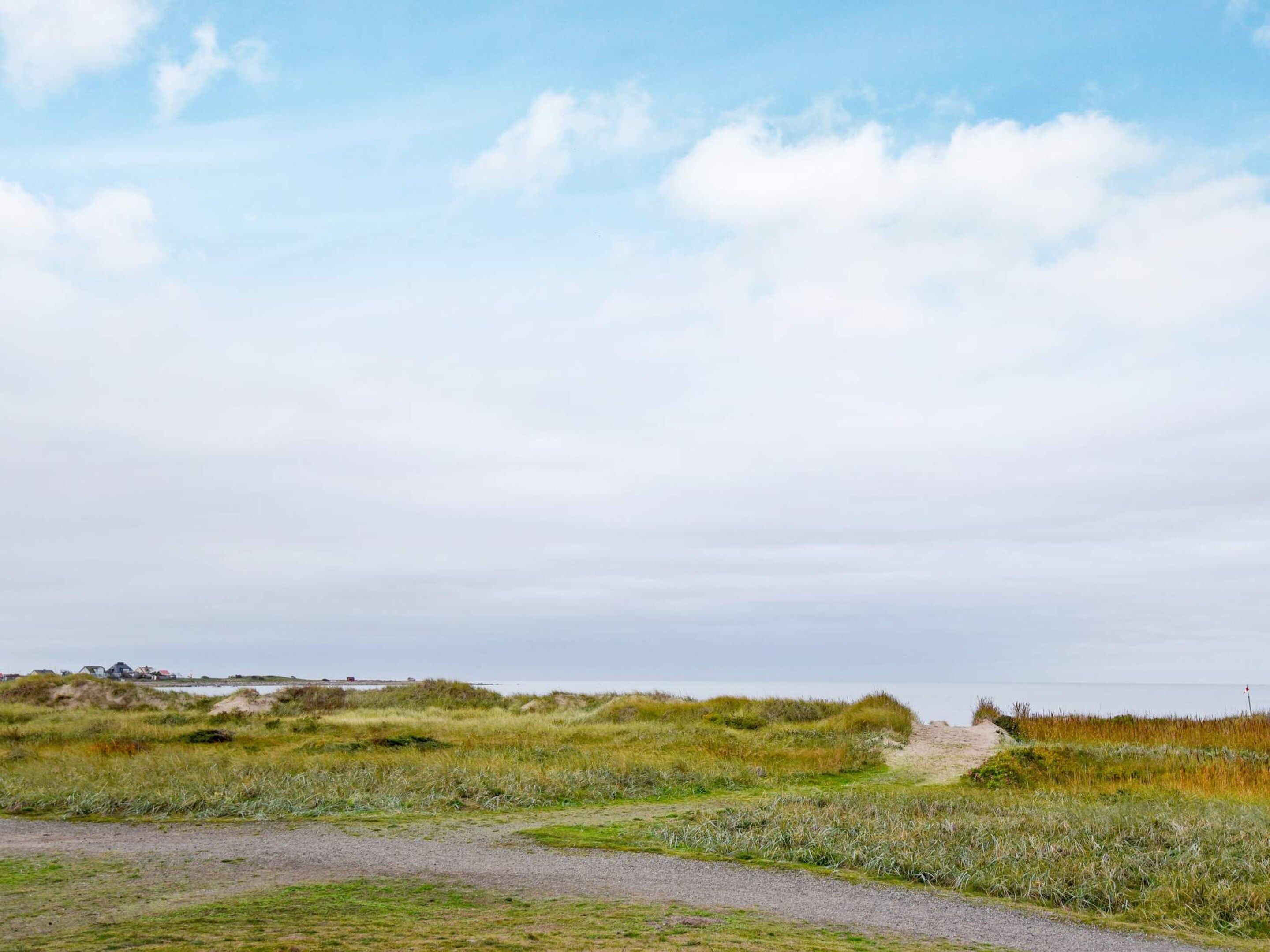 Paesaggio costiero con un sentiero sterrato che conduce a dune e un corpo d'acqua in lontananza.