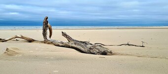 賓斯列夫八人度假屋