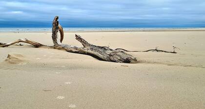 8 Person Holiday Home in Bindslev-by Traum