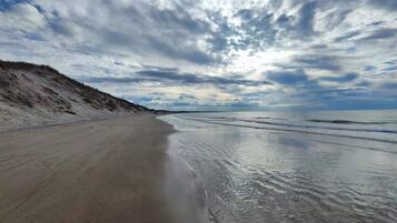 Ein Strand mit sandigem Ufer und bewölktem Himmel.