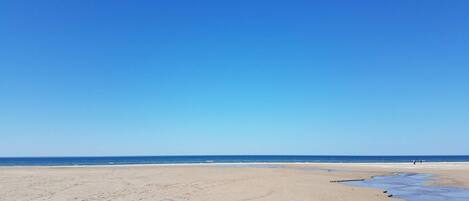 A beach with a clear sky and calm sea.