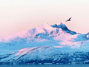 Miscellaneous - 6 Person Holiday Home in Nord-lenangen (Lyngen)