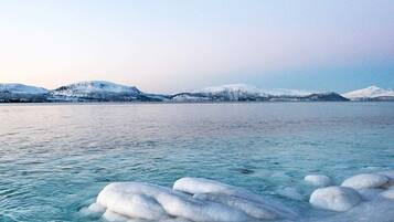 House | Miscellaneous