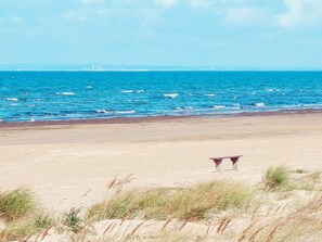 House | Beach