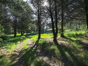 独立别墅 | 住宿景观