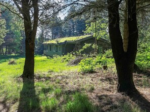 House | View from property