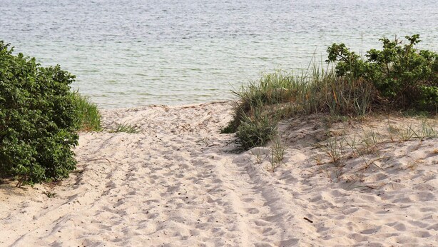 A sandy beach with sparse vegetation and a calm body of water in the background. - 3 Person Holiday Home in Hollviken-by Traum (Hollviken)
