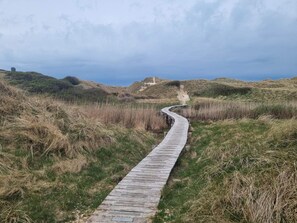 Un paseo marítimo de madera que atraviesa un paisaje natural con dunas cubiertas de hierba y un cielo despejado.