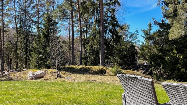 Eine Terrasse mit Korbmöbeln, ein Rasen und ein bewaldeter Hintergrund.