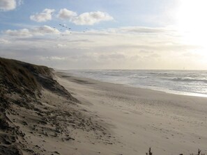 Beach - 7 Person Holiday Home in Ulfborg (Ulfborg)