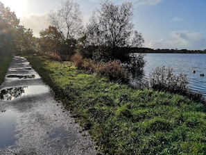 A pathway beside a body of water with trees and shrubs.