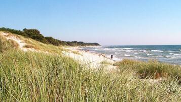 House | Beach