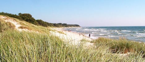 Ferienhaus | Strand