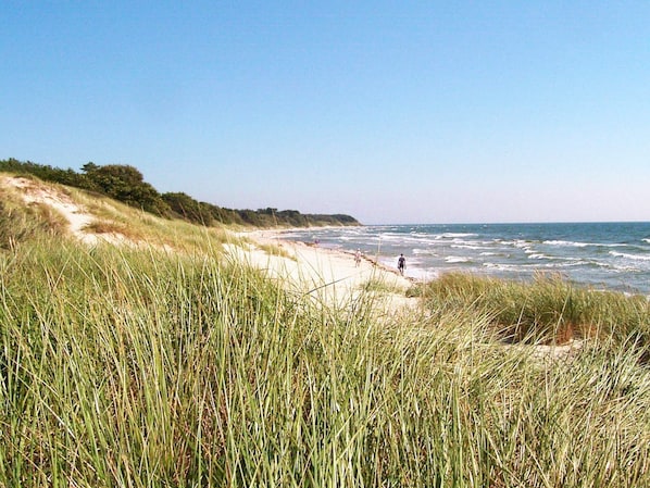 House | Beach