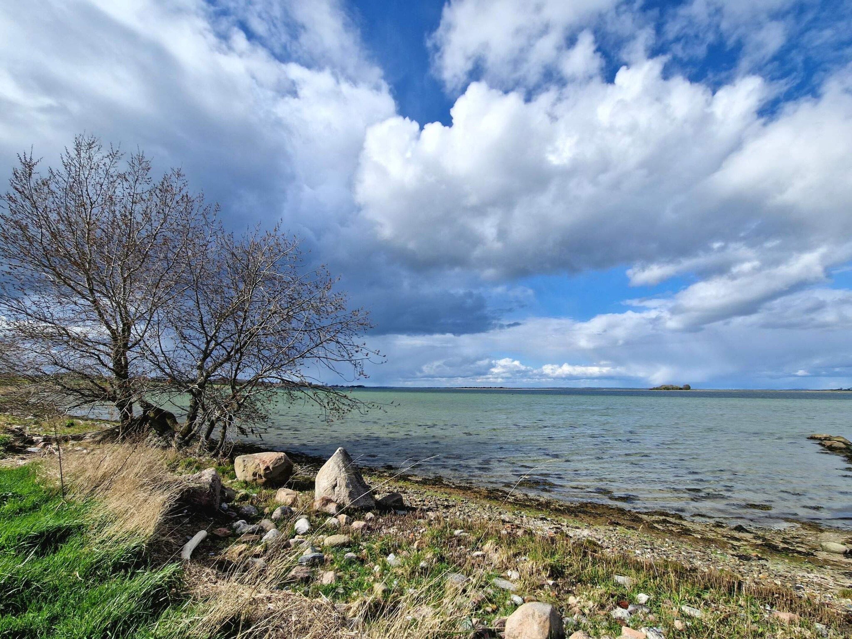 A lakeside view with a clear sky, a leafless tree, and a rocky shoreline.