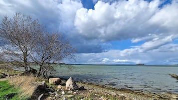 A lakeside view with a clear sky, a leafless tree, and a rocky shoreline.