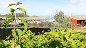 House | Property grounds