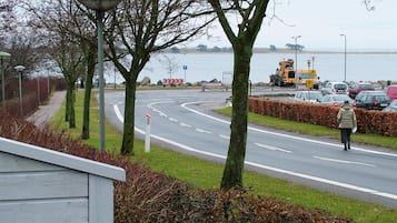 A road with a pedestrian crossing, a parking sign, and a body of water in the background.