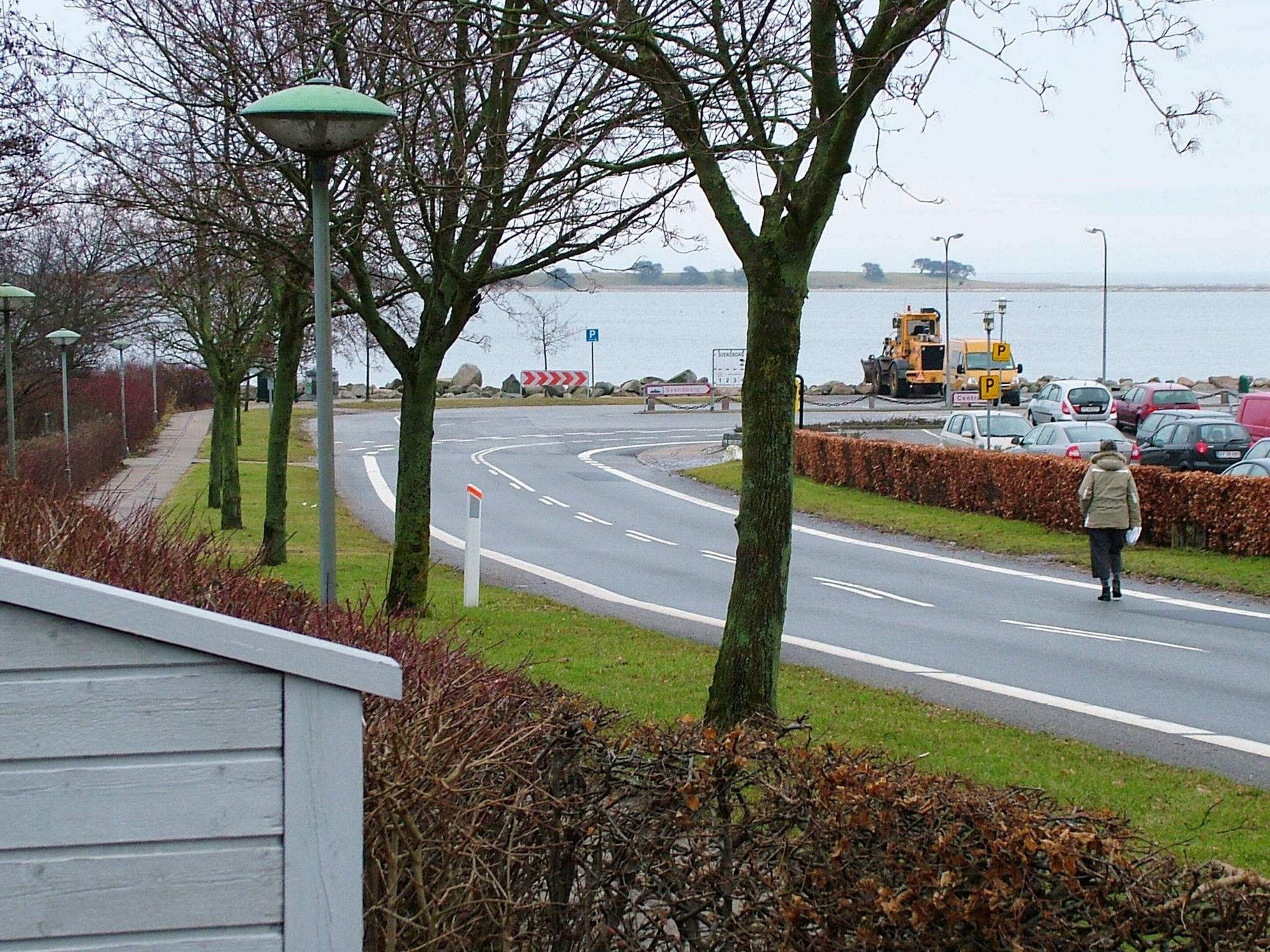 A road with a pedestrian crossing, a parking sign, and a body of water in the background.