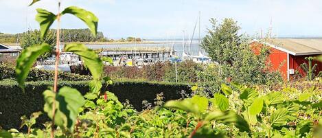 Huis | Terrein van de accommodatie