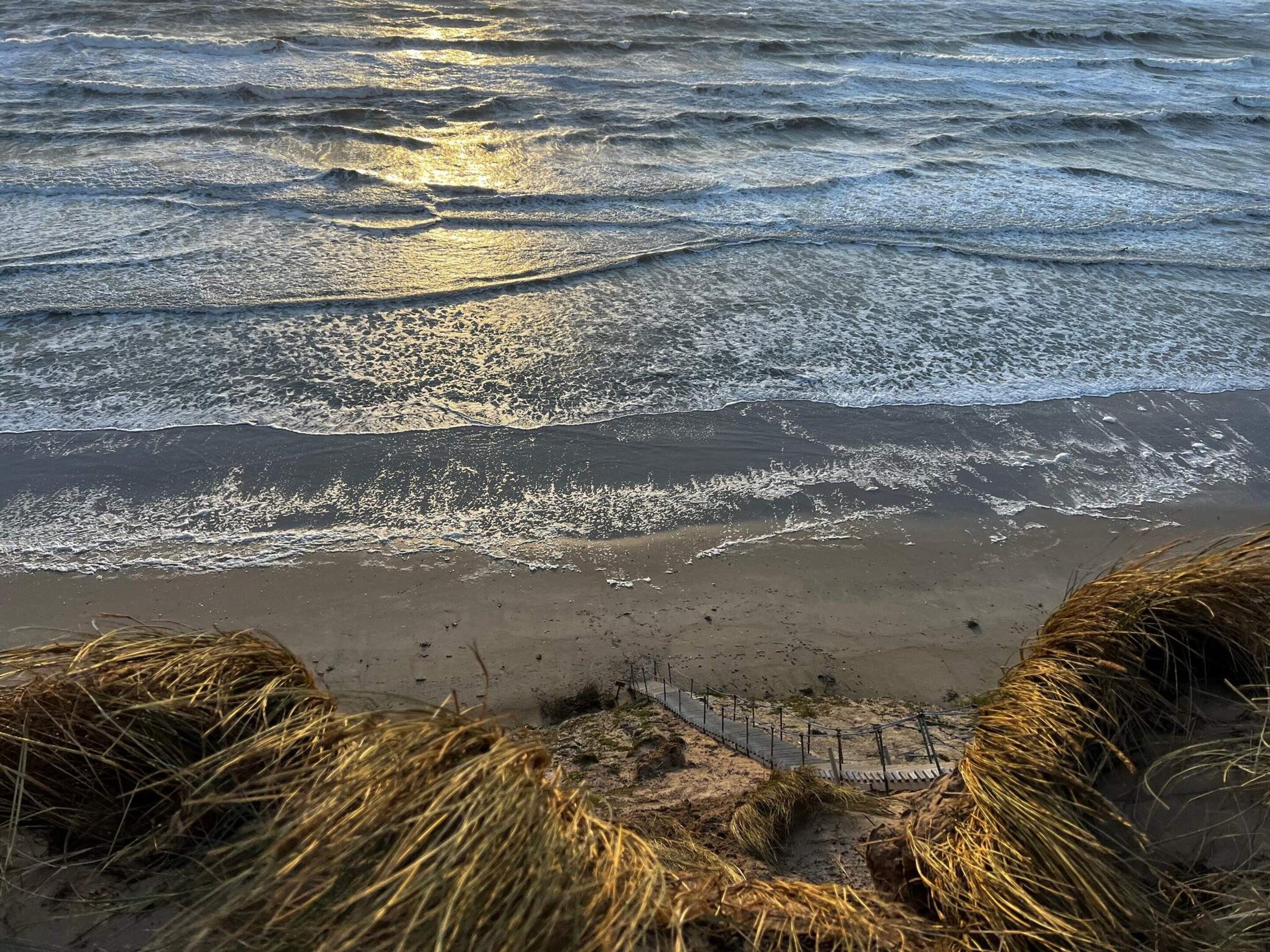 A beach with waves, a sandy shore, and grass in the foreground.
