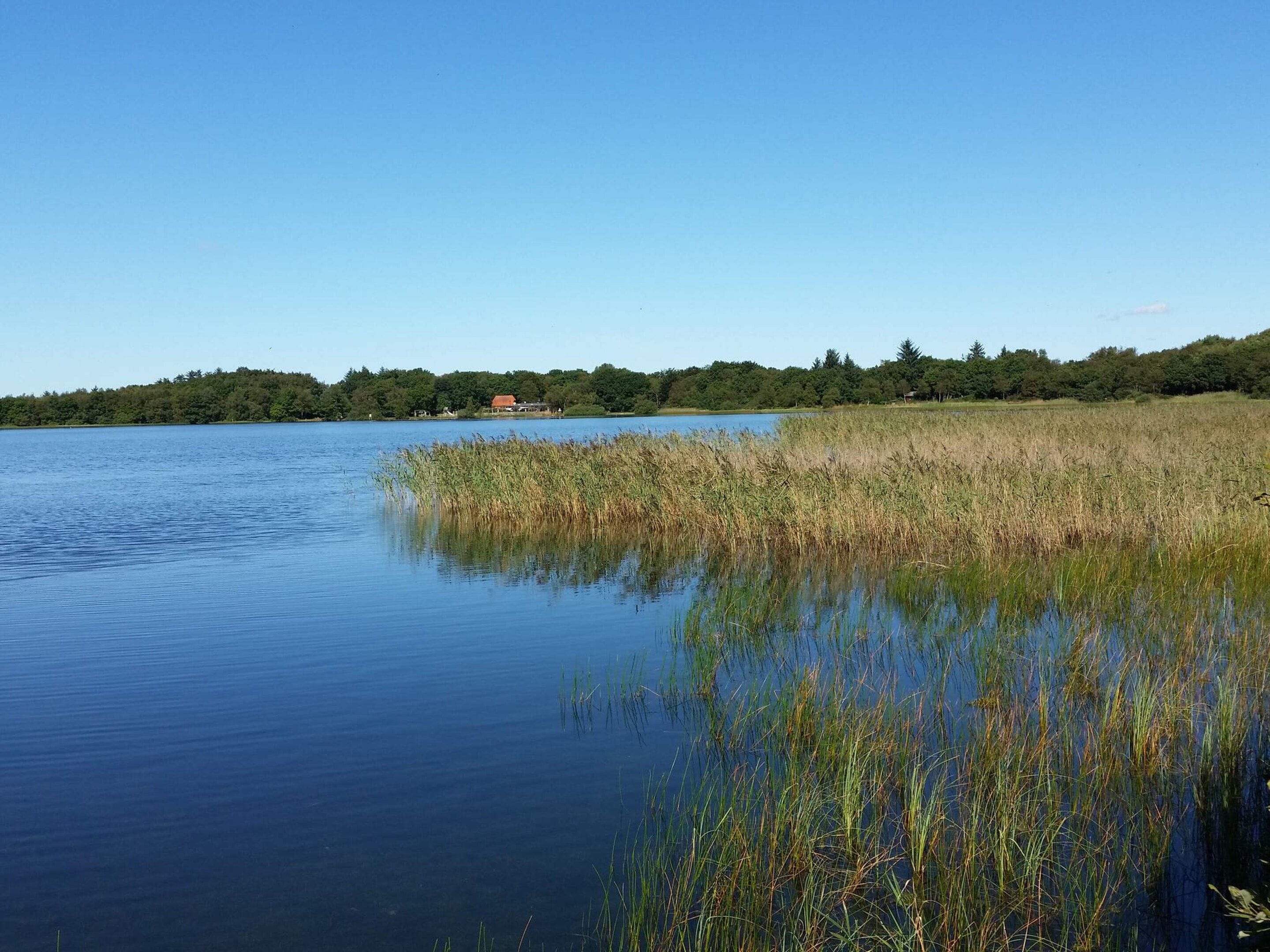 Un lago tranquilo con cielo despejado, rodeado de vegetación exuberante y un edificio distante.