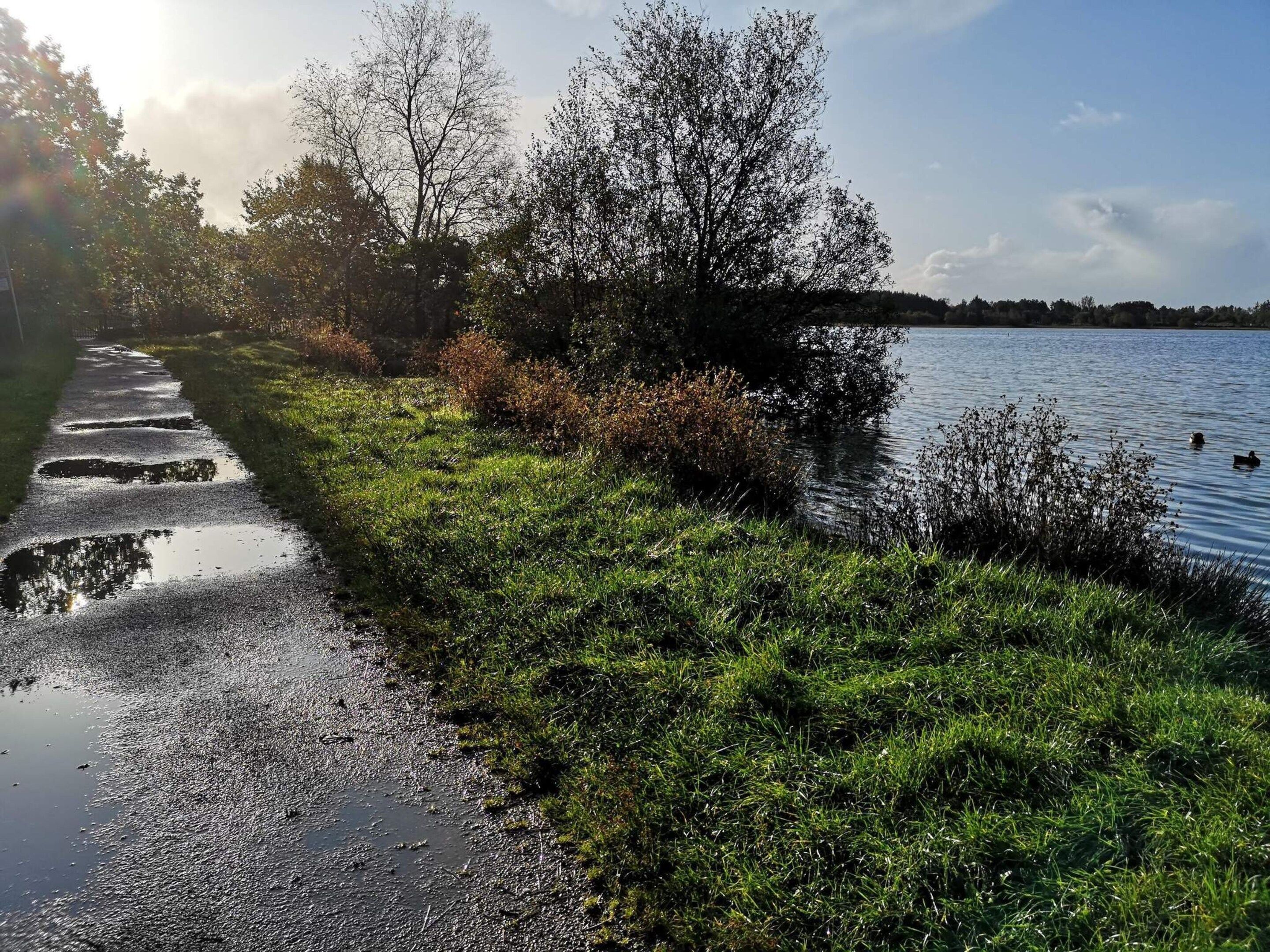 A pathway beside a lake with trees and bushes.