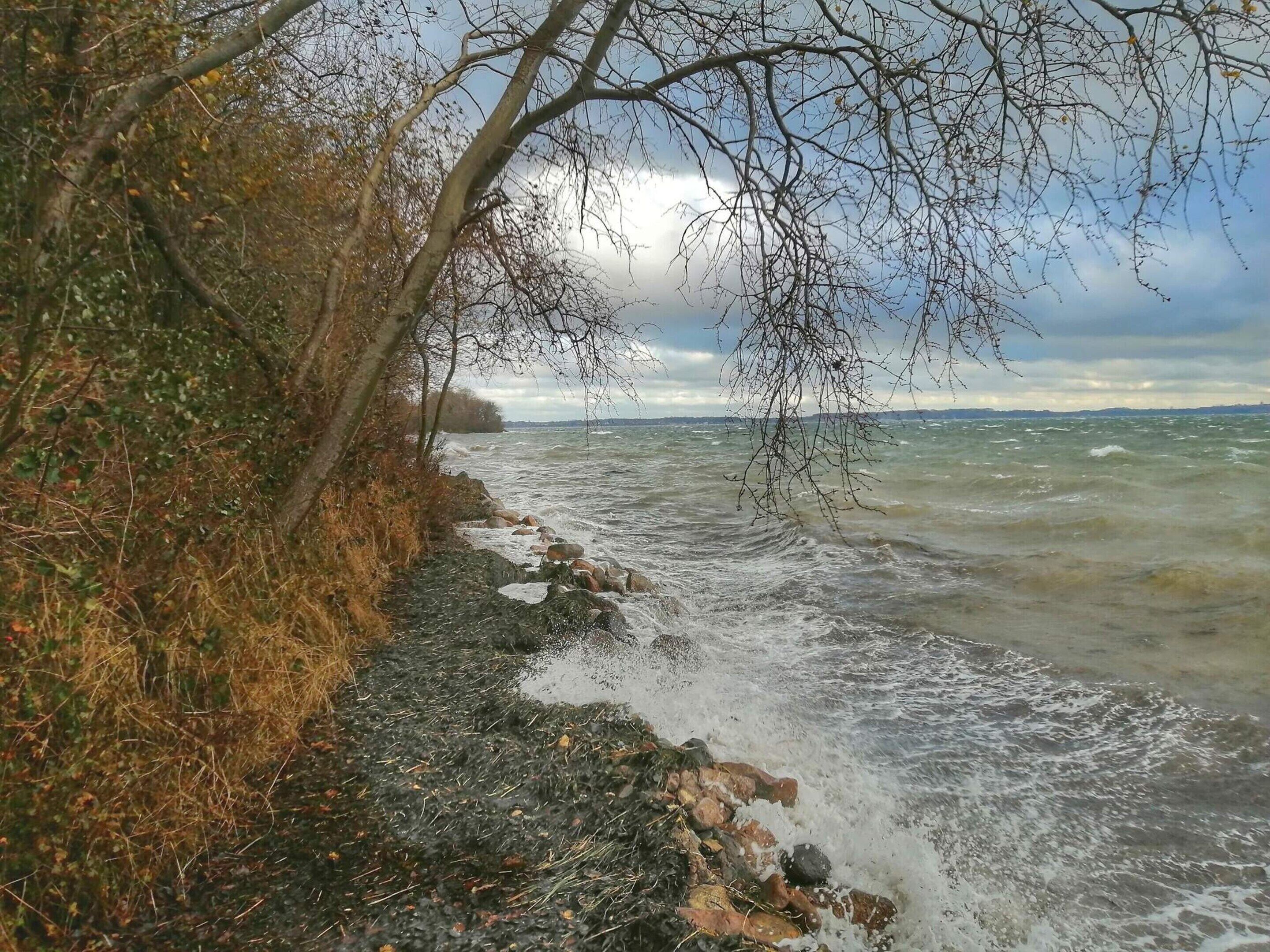 A rocky shoreline with waves crashing onto the shore, a tree line, and a distant view of land across the water.