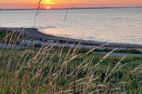 House | Water view