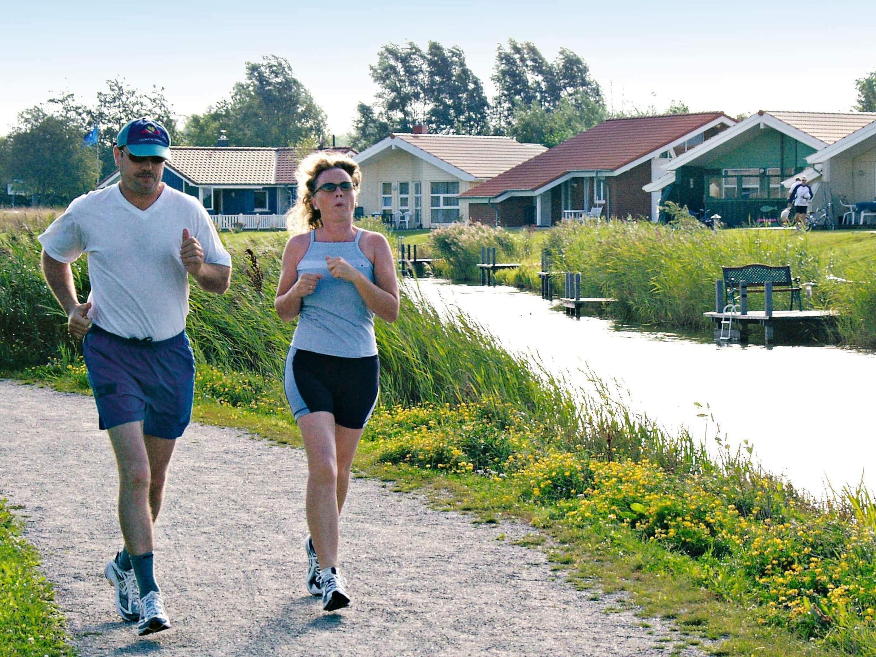 House | Property grounds