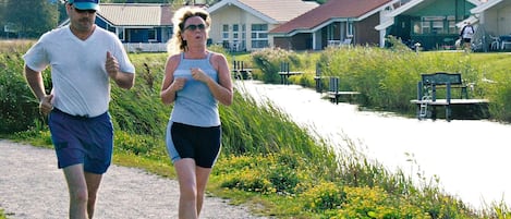 House | Property grounds