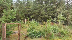 Ferienhaus | Unterkunftsgelände