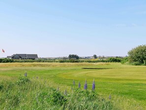 Vista desde la propiedad