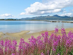Ein See mit Bergen im Hintergrund und violetten Blumen im Vordergrund.
