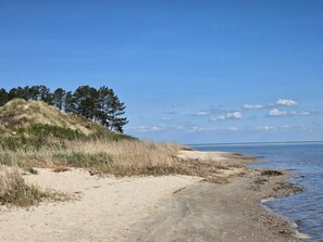 A sandy beach with a dirt path leading to the water, a grassy hill, and trees in the background. - Vibrant Holiday Home in RÃ¸mÃ¸ near Sea (Rømø)