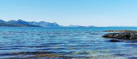 House | Beach | Beach nearby, fishing