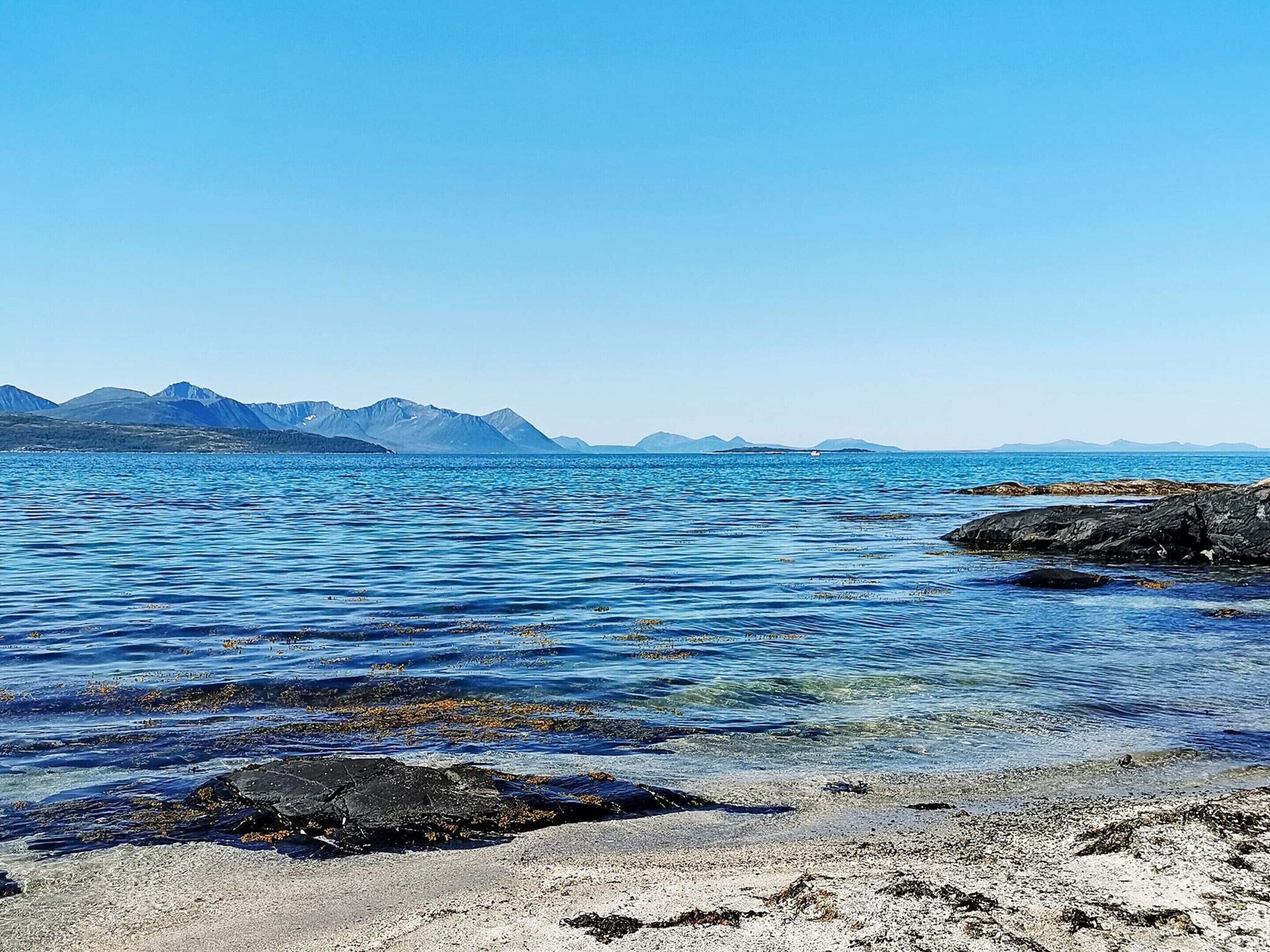 In Strandnähe, Angeln