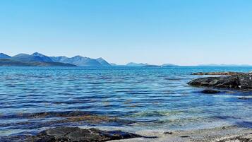 Tæt på stranden, fiskeri