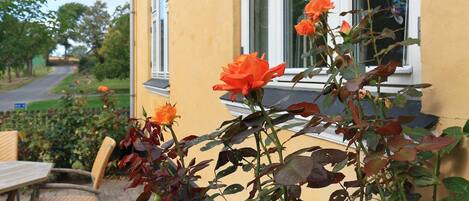 House | View from property