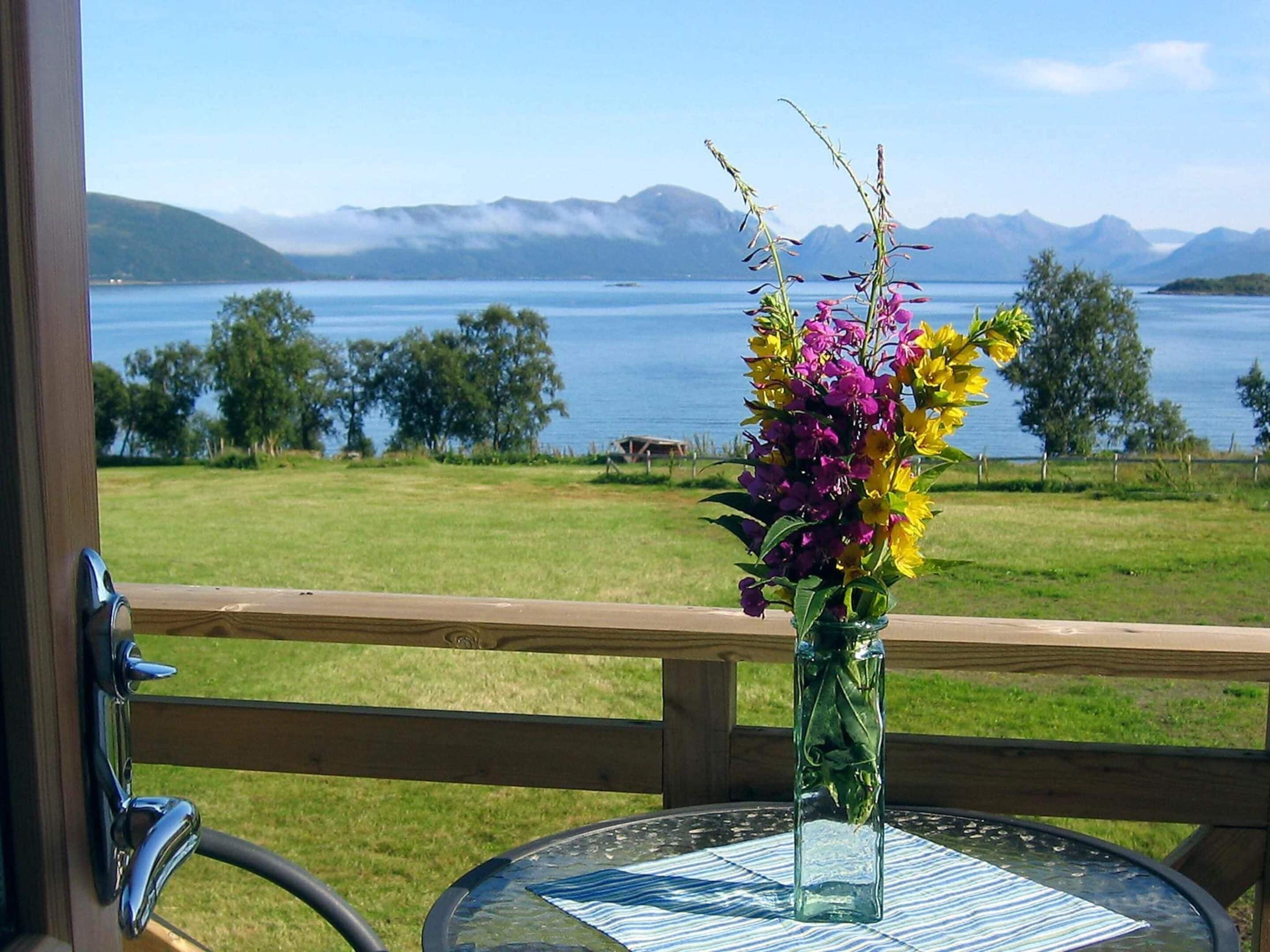إطلالة على البحيرة