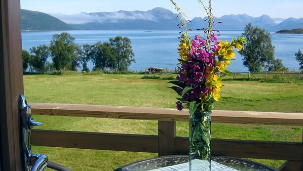 A view of a lake with mountains in the background, a wooden deck, and a glass table with a vase of flowers. - 6 Person Holiday Home in Alsvag-by Traum (Oksnes)