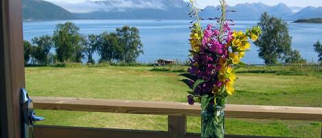 Lake view