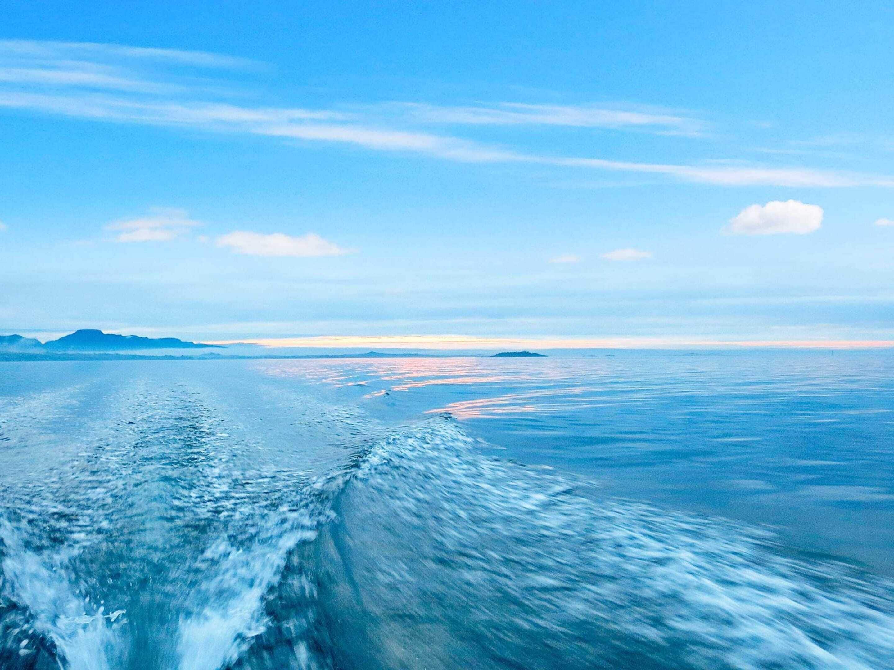 House | Miscellaneous